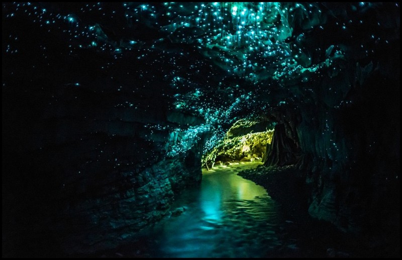 Glowworm-Cave